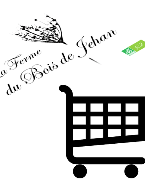 ouverture boutique en ligne