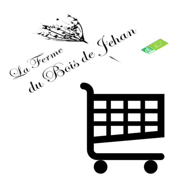 ouverture boutique en ligne